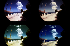 Lomo cuadro