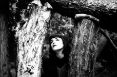 woodland