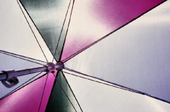 image0006