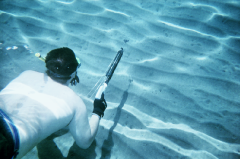 fishing