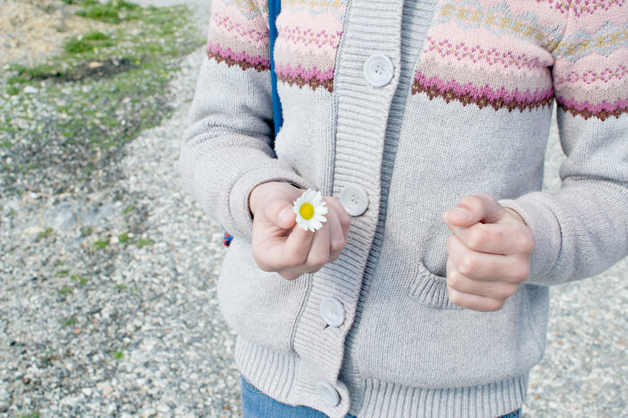 Spring flowers